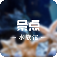 海豚伴游中心